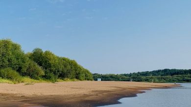 Photo of Пляж на берегу реки