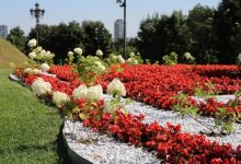 Photo of Цветочные клумбы в парке