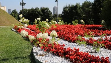 Photo of Цветочные клумбы в парке